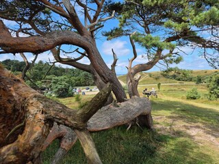 Vakantiehuis Vejby Strand Buitenaudio-opname 4