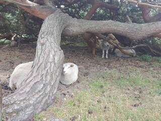 Casa per le vacanze Vejby Strand  25