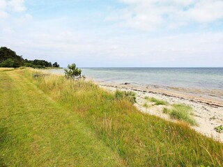 Ferienhaus Fårevejle  36