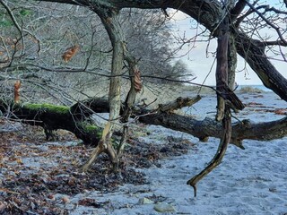 Ferienhaus Fårevejle  27