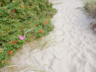 Holiday house Heberg  11