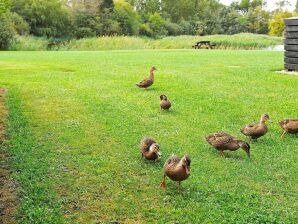 Casa vacanze Meerzicht Retreat in Dagelokke -- By Traum Ferienwohnungen