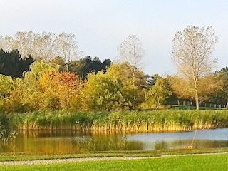 Maison de vacances Tranekær  14