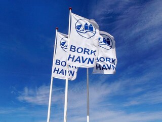 Maison de vacances Bork Havn  33