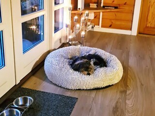 Casa de vacaciones Bork Havn  26