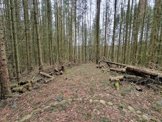 Ferienhaus Silkeborg  28