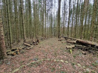 Vakantiehuis Silkeborg  20