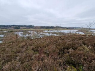 Holiday house Silkeborg  28