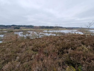 Ferienhaus Silkeborg  24