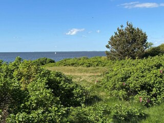 Vakantiehuis Skaven Strand  23