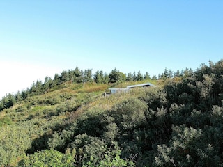 Ferienhaus Humlum  18