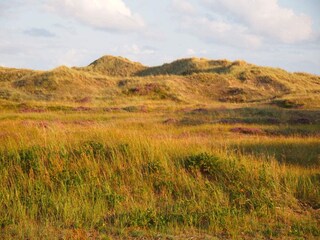 Maison de vacances Skagen  32