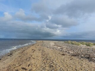 Holiday house Fur  23