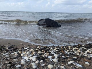 Casa per le vacanze Fur  21