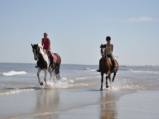 Reiten am Strand