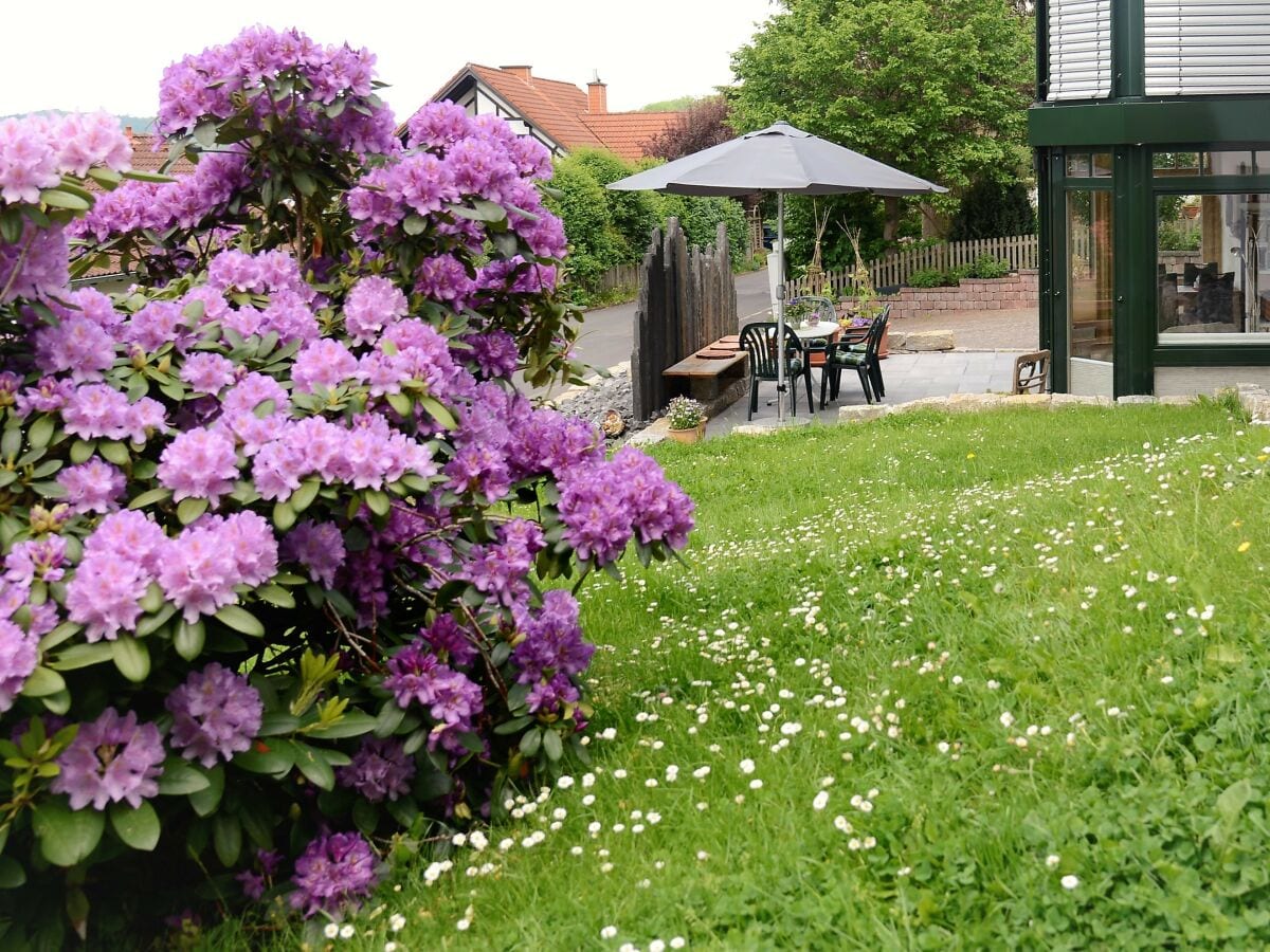 Garten/Terrasse