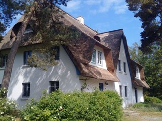 Seitenansicht