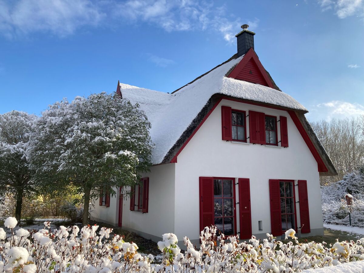 Haus Klatschmohn im Winter