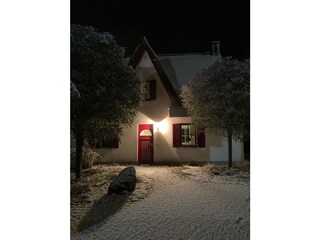 Klatschmohn bei Nacht