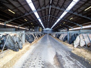 Boerderij Kemmel  40