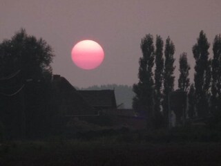 Type de propriété : Ferme Kemmel Environnement 35