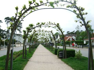Vakantiehuis Baabe Omgeving 25