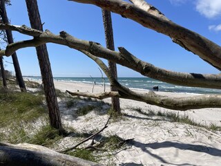 Blick vom Wald auf den Weststrand