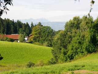 Appartamento per vacanze Hohenweiler Ambiente 15