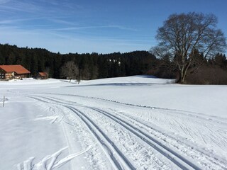 70 km cross-country skiing and ski lift in 10 Minutes