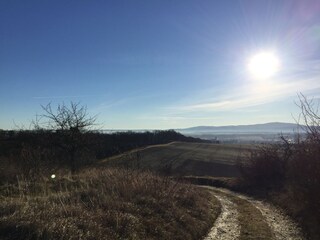 Casa per le vacanze Osterwieck Ambiente 17