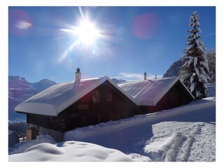 Autofrei im Winter ...