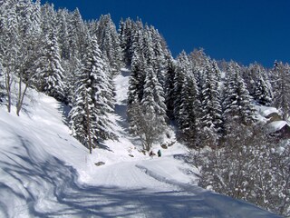 Winterwandern gleich von den Chalets aus.