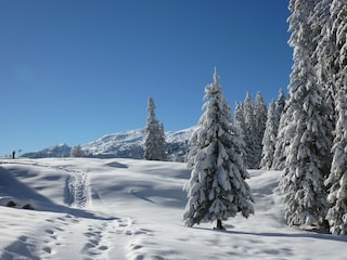 Ferienhaus St. Martin in Passeier Umgebung 29