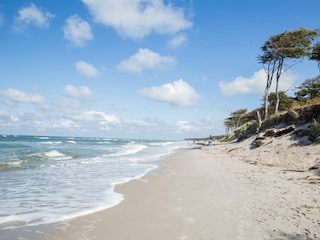 Ferienhaus Bodstedt Außenaufnahme 15
