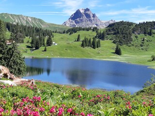 Appartamento Schröcken Ambiente 24