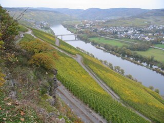 Blik zur Mosel