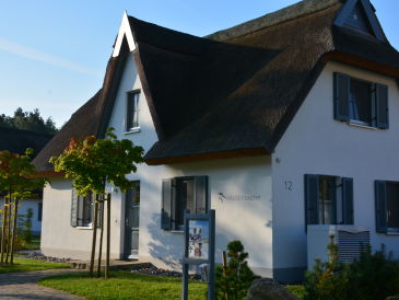 Ferienhaus Haubentaucher