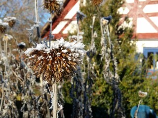 Casa per le vacanze Deining Registrazione all'aperto 3