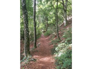 Casa per le vacanze Deining Ambiente 37