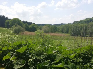 Vakantiehuis Deining Omgeving 38
