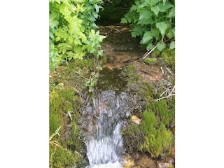 Maison de vacances Deining Environnement 40