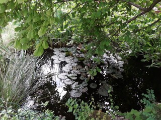 Casa per le vacanze Deining Registrazione all'aperto 8