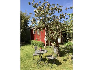 Appartamento per vacanze Wyk auf Föhr Registrazione all'aperto 10