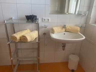Appartamento per vacanze Gaschurn Bagno 15