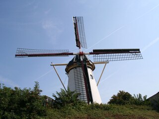 Casa per le vacanze Ouddorp Ambiente 30