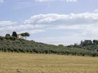 Appartamento per vacanze Genzano di Roma Registrazione all'aperto 4