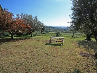 Apartamento de vacaciones Genzano di Roma Grabación al aire libre 5