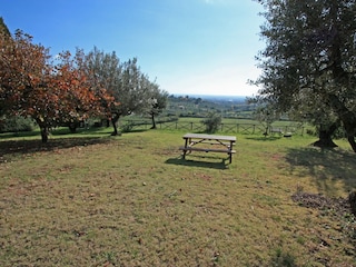 Appartamento per vacanze Genzano di Roma Registrazione all'aperto 5