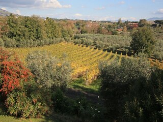 Appartamento per vacanze Genzano di Roma Registrazione all'aperto 6