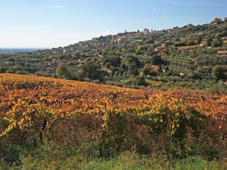 Appartamento per vacanze Genzano di Roma Registrazione all'aperto 7